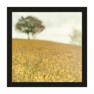 30x30cm Black Ash - Image 2