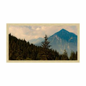Small Silver oak - Image 2