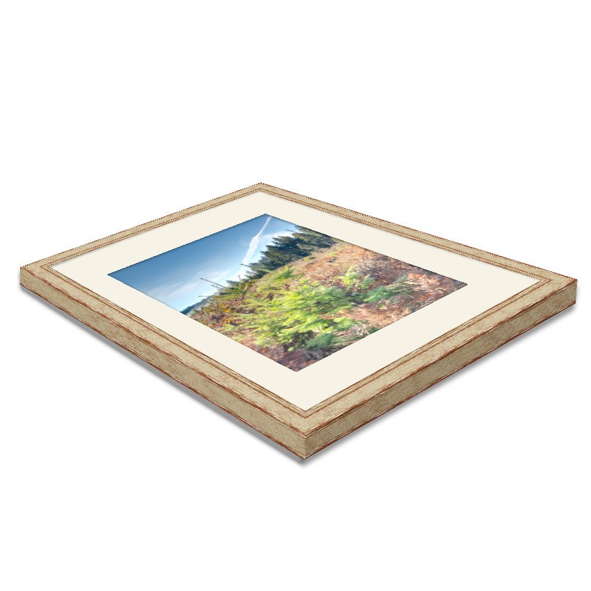 Pewter A4 Plus Glazed Frame with Mount – FSC® certified